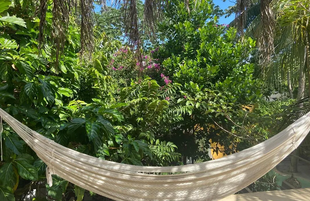 Quinta Salamandra-1