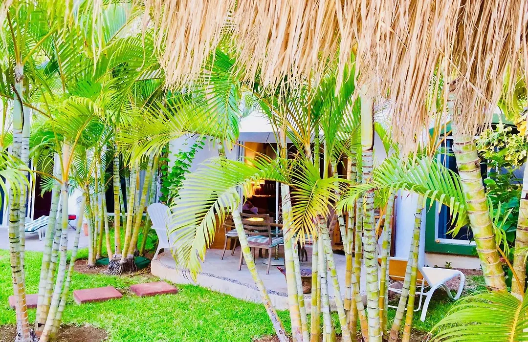 Playacar-1
