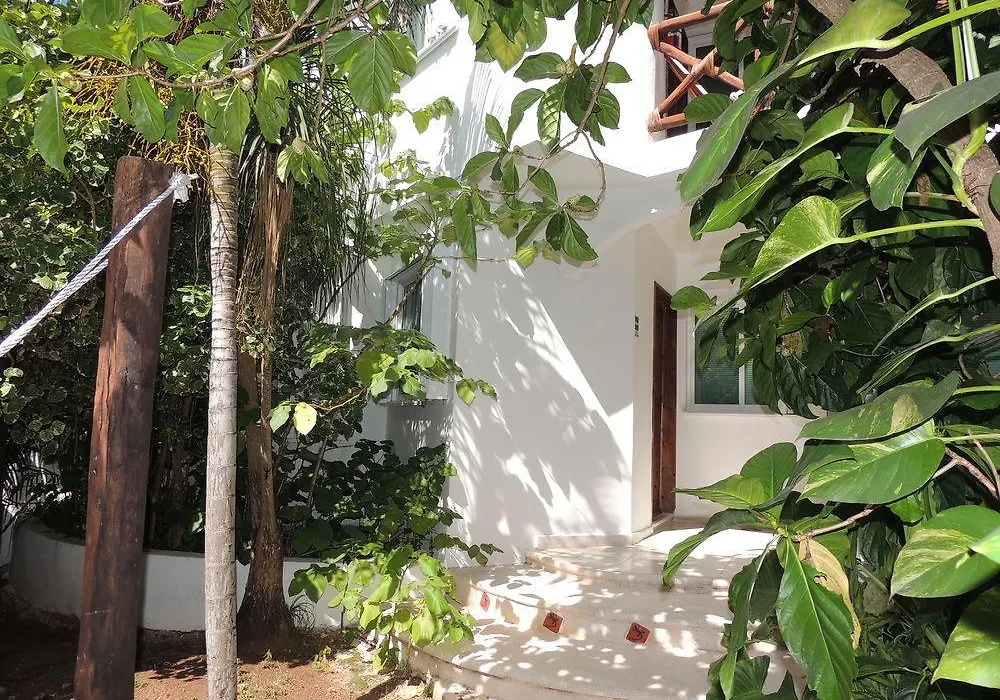 Casaejido-1