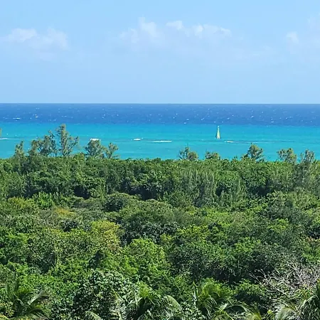 Suite Near From The Beach And Rooftop Ocean View 204-2