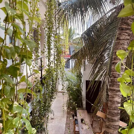 Anana Coliving-3