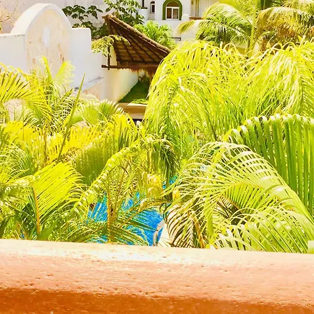 Playacar-3