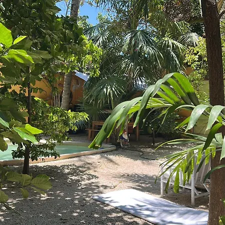Quinta Salamandra-3