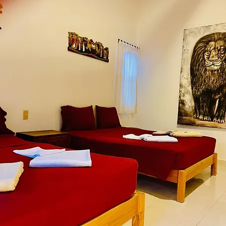 Executive Basic Room With Swimming Pool Air Conditioning And Parking-3