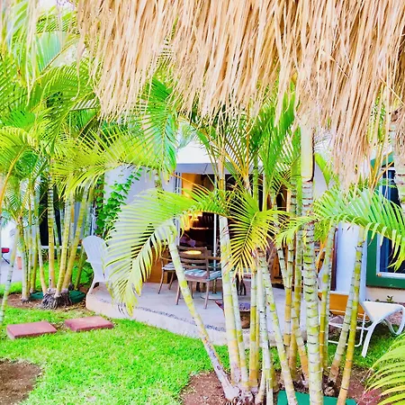Playacar-2