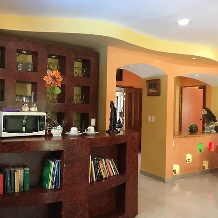 B&B Villa Hibiscus-3
