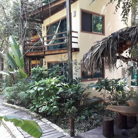 Dolce Caribe Xcaret-3