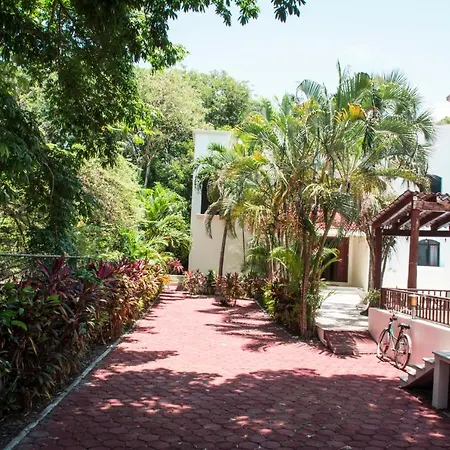 Green Oasis Home Boutique-3